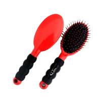 Plastic hairbrush for women